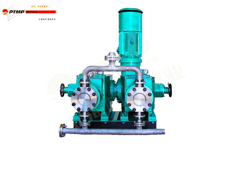 特種定制計(jì)量泵