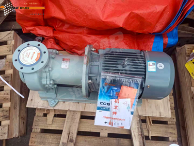 磁力驅動泵注意事項